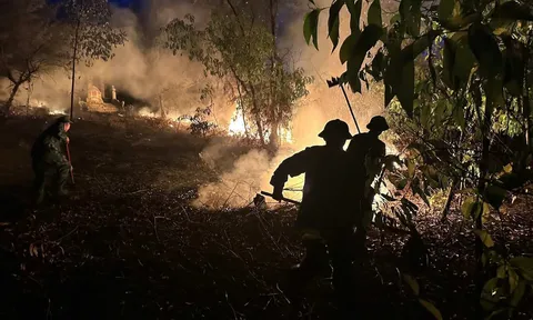 Phát hiện 1 thi thể trong vụ cháy rừng ở Huế, hé lộ nguyên nhân dẫn đến hỏa hoạn