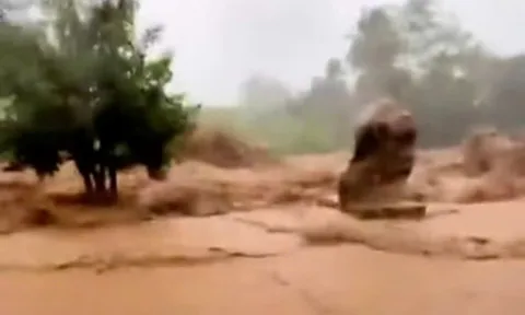 Clip: Lũ quét ập xuống bất ngờ, cuốn phăng cây cối, hoa màu tan hoang ở Khánh Hòa