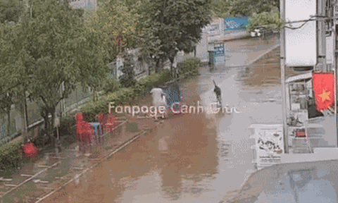 Clip: Thót tim cảnh 3 mẹ con bị chó becgie lao đến giữa đường mưa, may mắn thoát nạn nhờ một vật bất ngờ