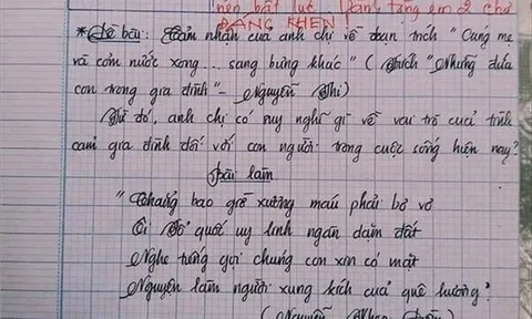 Nam sinh viết bài thi Văn dài kỷ lục 18 trang, cô giáo “bó tay” vì không biết phê gì thêm