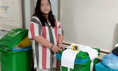 Bắt thiếu nữ sinh năm 2000 về tội trộm cắp tài sản