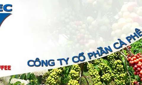 Cổ phiếu bị cảnh báo, PCF đưa ra giải trình và phương án khắc phục