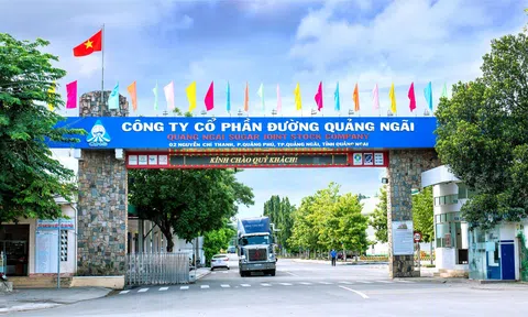 CTCP Đường Quảng Ngãi (UPCoM: QNS) lãi kỷ lục trong năm 2023