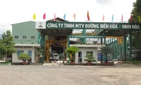 Công ty con của Thành Thành Công - Biên Hòa báo lãi bán niên 2023 hơn 20 tỷ đồng