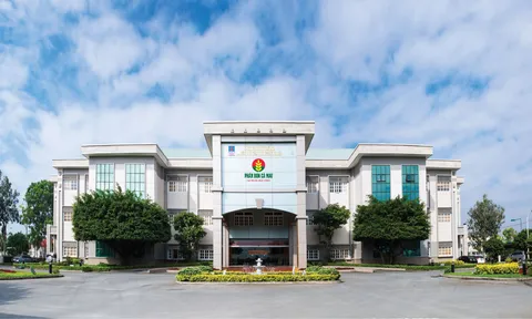 Đạm Cà Mau (HoSE: DCM) báo lãi 2023 giảm 74%