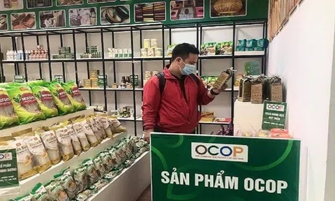 Hà Nội cấp giấy chứng nhận đối với 104 sản phẩm OCOP đạt 4 sao