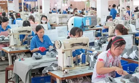 May Hữu Nghị báo lãi “đi lùi” gần 20%