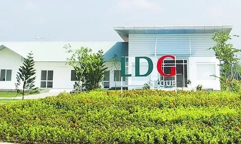 LDG nói gì về ý kiến nhấn mạnh và khoản lỗ thêm 153 tỷ đồng sau kiểm toán?