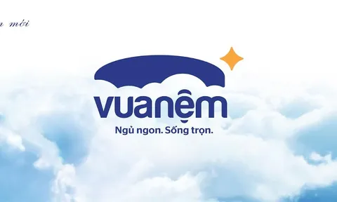 Kết thúc năm 2023, Vua Nệm báo lỗ gần 80 tỷ đồng