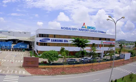 Tập đoàn ASG (HoSE: ASG): Doanh thu “đi ngang”, lợi nhuận sụt giảm mạnh trong năm 2023