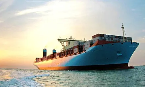 VSA lên kế hoạch “đi lùi” cho năm 2024, chia cổ tức bằng tiền mặt