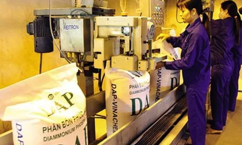 Kết thúc quý I/2024, DDV đã đi được một phần tư chặng đường cả năm