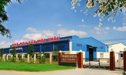 Quý I/2024 lãi thấp nhất trong 3 năm gần đây, Mộc Châu Milk (MCM) nói gì?