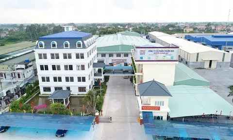 CTCP Thuận Đức (TDP) bị phạt 77,5 triệu đồng, tổng nợ gấp 3 lần vốn chủ