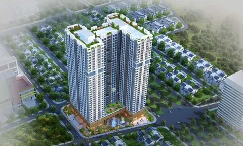 SHN thông qua kế hoạch kinh doanh cho năm mới, quý I/2024 lãi gấp 3 cùng kỳ