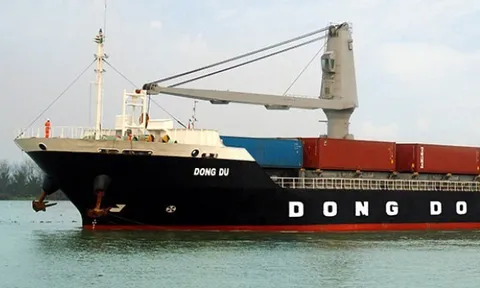 Liên tiếp báo lỗ 5 quý gần nhất, Hàng hải Đông Đô (DDM) giải trình ra sao?