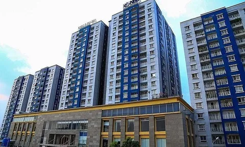 Năm Bảy Bảy (NBB) báo lãi quý I/2024 sụt giảm 63% cùng kỳ