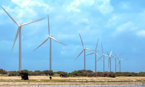 Năng lượng Bắc Phương bị xử phạt 77,5 triệu đồng