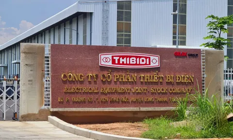 CTCP Thiết bị Điện (THIBIDI) bị phạt 125 triệu đồng do mua bán chui cổ phiếu