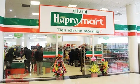 Hapro Long Biên (LBC) chia cổ tức năm 2023 bằng tiền mặt với tỉ lệ 12%