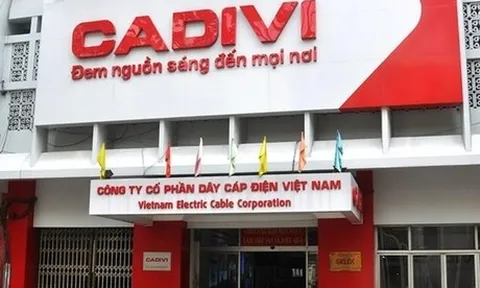 Muốn rời HoSE để tập trung sản xuất, CADIVI kinh doanh thế nào?