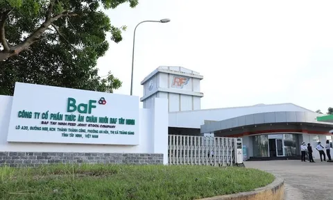 Nông nghiệp BAF Việt Nam của ông Trương Sỹ Bá bị xử phạt gần 250 triệu đồng