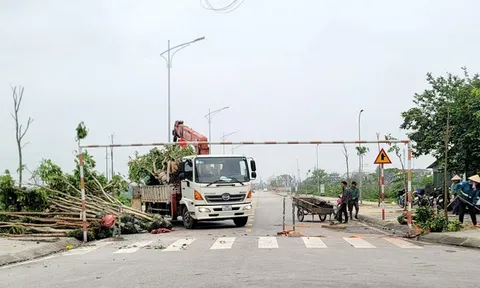 Bộ Công an: Công ty cây xanh Công Minh thông đồng trúng thầu hàng nghìn tỷ