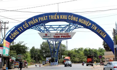 Đầu tư hơn 1.000 tỷ vào Cảng Phước An, KCN Tín Nghĩa hái "quả ngọt" nửa đầu năm 2024