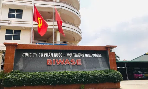 Cuộc viễn chinh ngành nước của Biwase