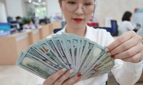 Tỷ giá USD phục hồi sau 1 tuần giao dịch biến động