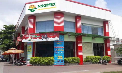 Angimex: Hoạt động kinh doanh vẫn chưa tạo được lợi nhuận