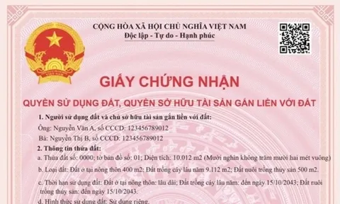 Sổ hồng mới và những lưu ý để tránh rủi ro khi giao dịch