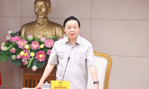 Xử lý sai phạm đất đai: Phải đi đến cùng trong xác định hành vi vi phạm