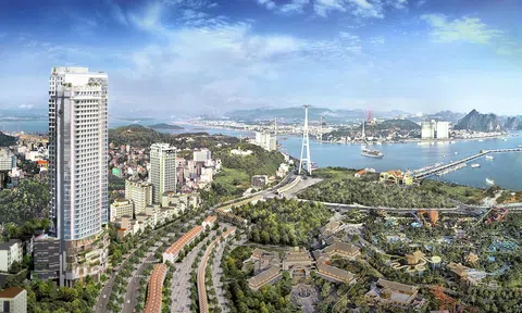 Bán niên 2024, Khách sạn Vịnh Hạ Long của ông Nguyễn Bá Tiến lỗ gần 1 tỷ đồng, tổng nợ gấp 6 lần vốn chủ