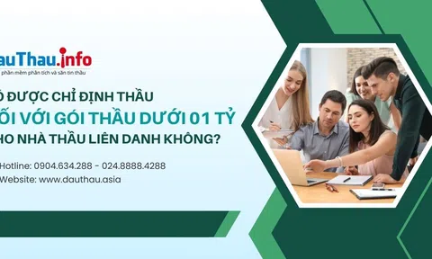 Có được chỉ định thầu đối với gói thầu dưới 01 tỷ cho nhà thầu liên danh không?