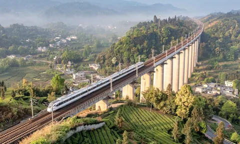 'Phân công nhiệm vụ cho doanh nghiệp tư nhân làm đường sắt tốc độ cao Bắc-Nam'