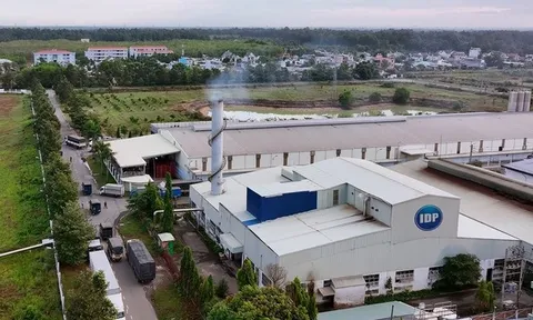 Lãnh đạo Sữa Quốc tế Lof “bỏ túi" gần 50 tỷ đồng