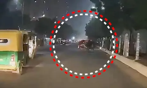 Video: Trâu "điên" lao ra giữa đường, húc ngã xe máy