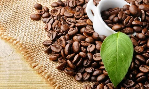 Giá nông sản 26/8: Cà phê Robusta đạt mức cao kỷ lục, hồ tiêu duy trì ổn định