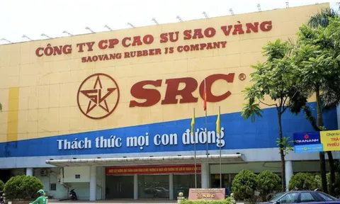 Vi phạm nhiều lần, Cao su Sao Vàng bị phạt và truy thu thuế hơn 1,3 tỷ đồng