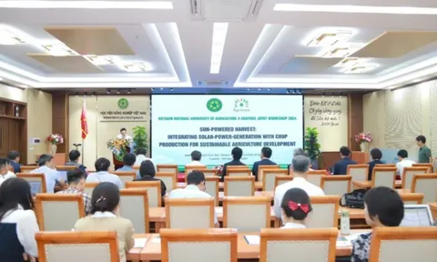 Khai thác hiệu quả năng lượng mặt trời: Kết hợp sản xuất điện mặt trời trong sản xuất cây trồng để phát triển nông ngiệp bền vững