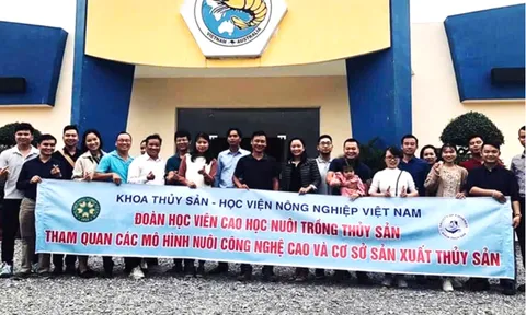 Giải mã lý do nên chọn học sau đại học ngành Nuôi trồng Thủy sản tại Học viện Nông nghiệp Việt Nam