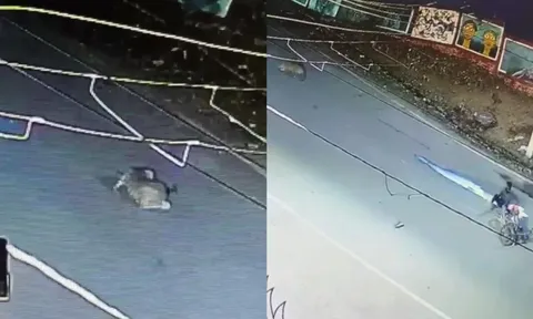 Clip: Báo hoa bất ngờ lao qua đường khiến người dân hoảng hồn