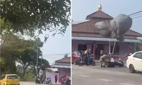 Clip: Người lính nhảy dù hạ cánh trúng xe máy trên đường, "knock-out" tài xế