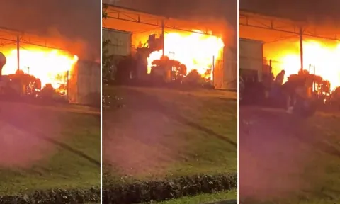 Clip: Dũng cảm lao vào đám cháy để cứu mèo, 2 người đàn ông nhận "cơn mưa" lời khen