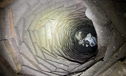 Nghe thấy tiếng động lạ dưới sàn nhà, người đàn ông giật mình khi phát hiện sinh vật này