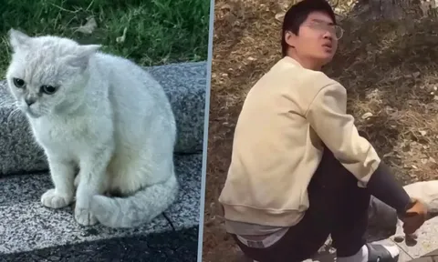 Gã đàn ông hành hạ, giết hại mèo nhận án phạt "nhẹ tựa lông hồng" khiến dân mạng phẫn nộ