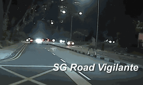 Clip: Chú chó trọng thương khi bị ô tô húc văng giữa đường, người dân liều mình lao ra giúp đỡ