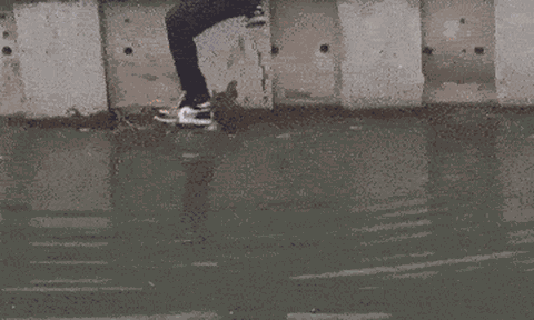 Clip: Không biết bơi, chàng trai vẫn hết mình cứu chú mèo rơi xuống kênh theo cách "chẳng giống ai"