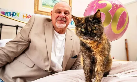 Chú mèo tam thể "thọ nhất thế giới" mừng sinh nhật tuổi 30 và câu chuyện đáng yêu của ông chủ già